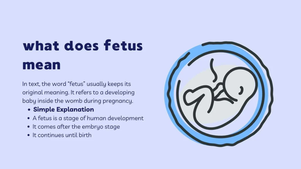 what does fetus mean