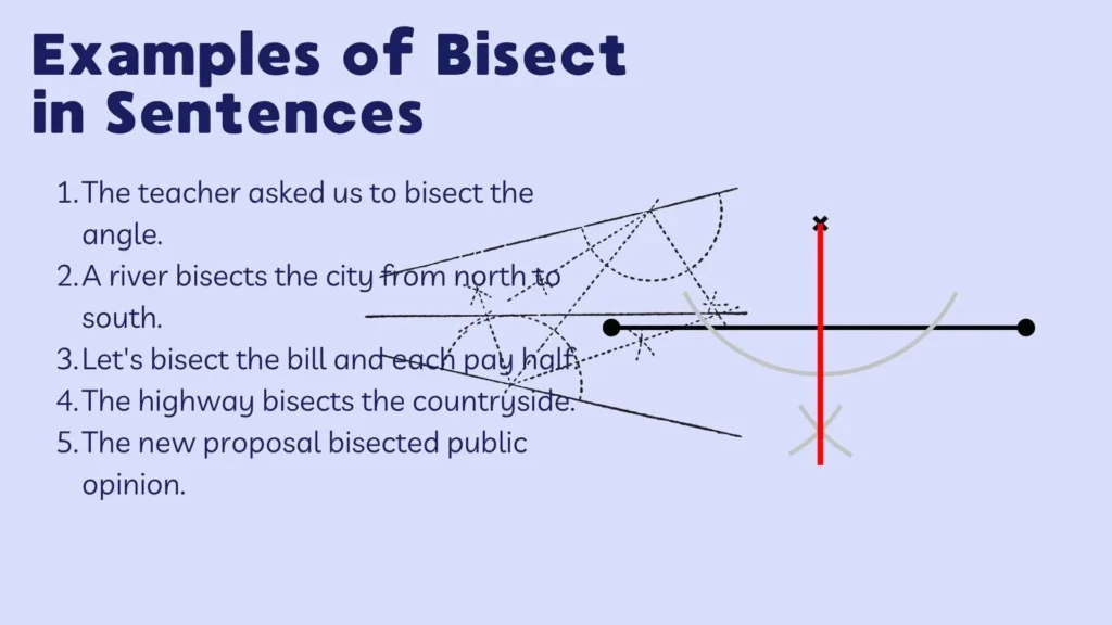 Examples of Bisect in Sentences