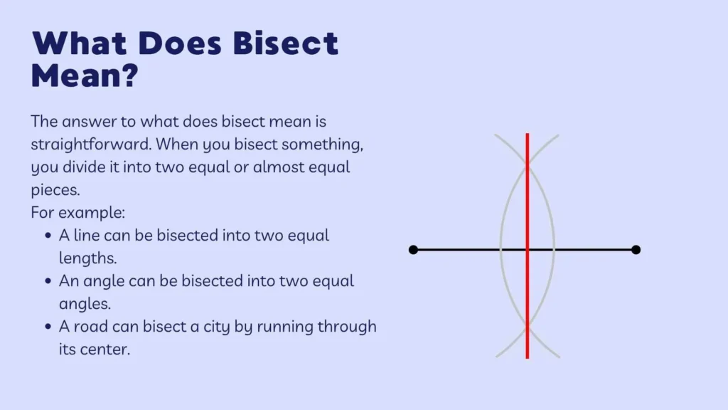 What Does Bisect Mean?