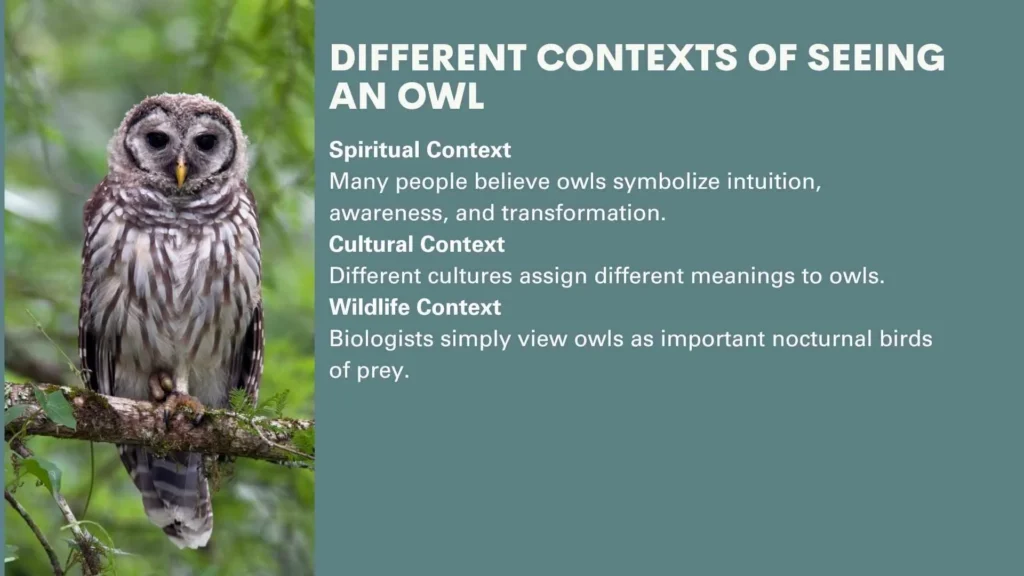 Different Contexts of Seeing an Owl