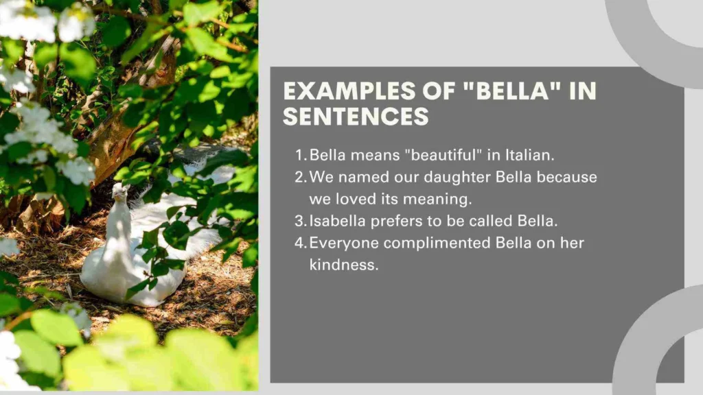 Examples of "Bella" in Sentences