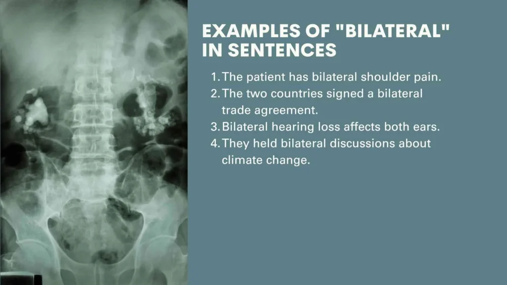 Examples of "Bilateral" in Sentences