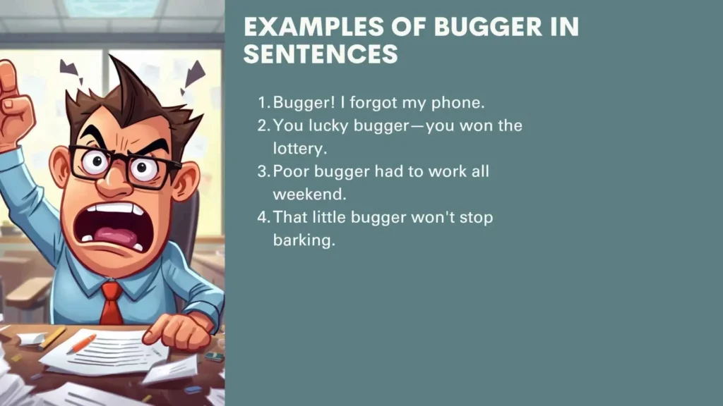 Examples of Bugger in Sentences