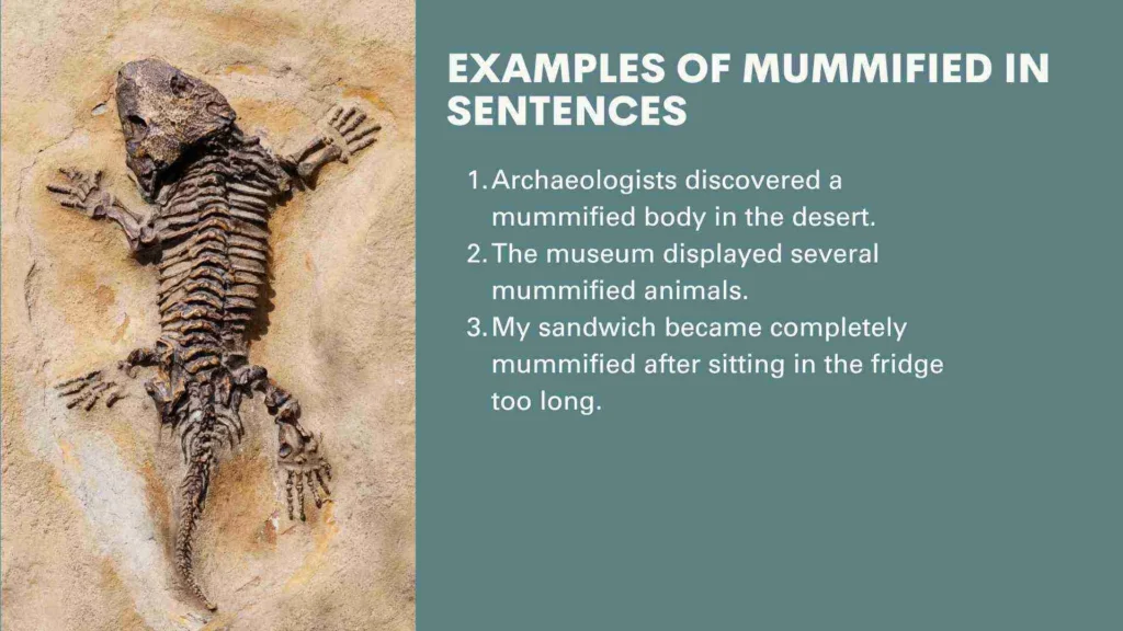 Examples of Mummified in Sentences
