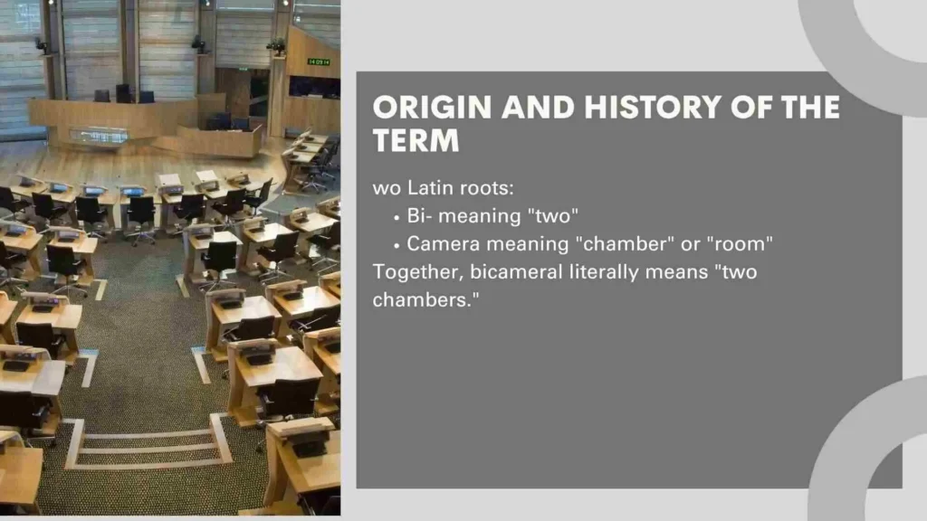 Origin and History of the Term