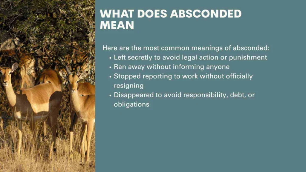 What Does Absconded Mean