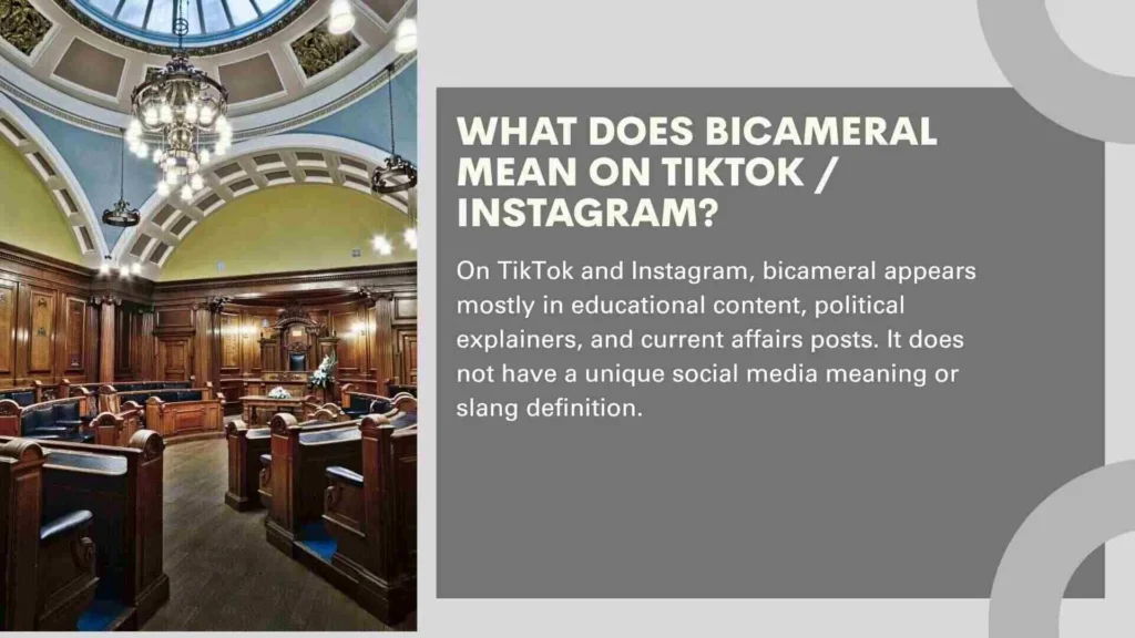 What Does Bicameral Mean on TikTok / Instagram?