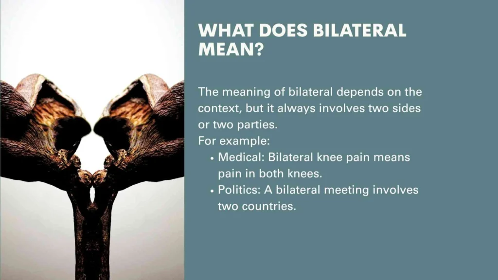 What Does Bilateral Mean?