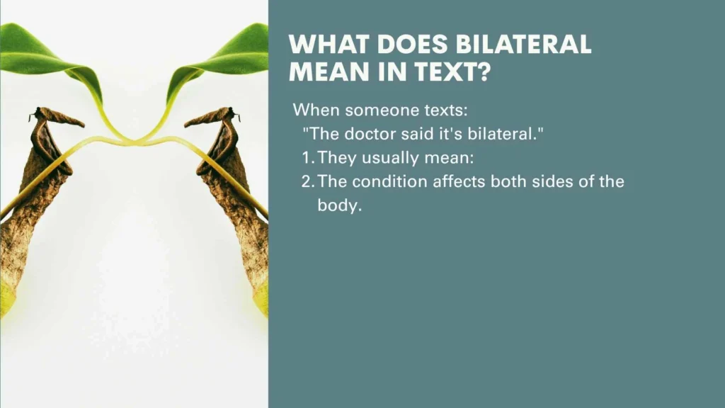 What Does Bilateral Mean in Text?
