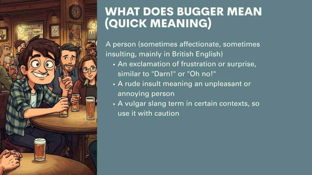 What Does Bugger Mean (Quick Meaning)