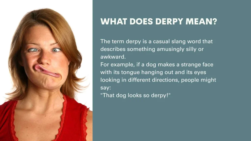 What Does Derpy Mean?