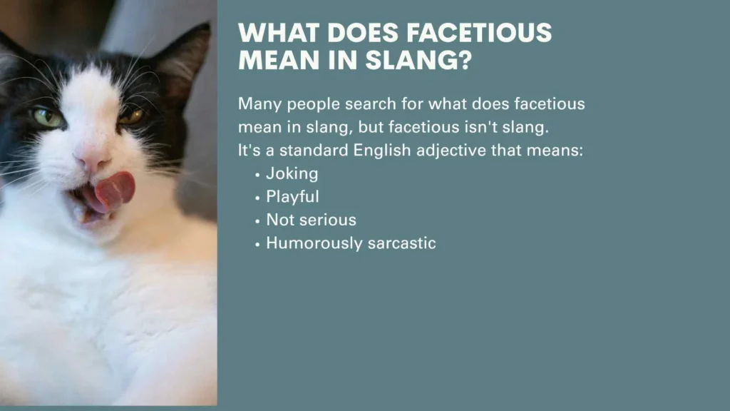 What Does Facetious Mean in Slang?