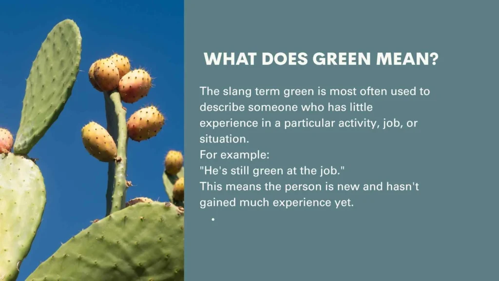 What Does Green Mean?