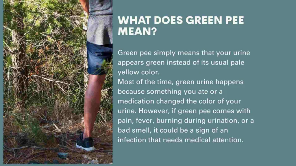 What Does Green Pee Mean?