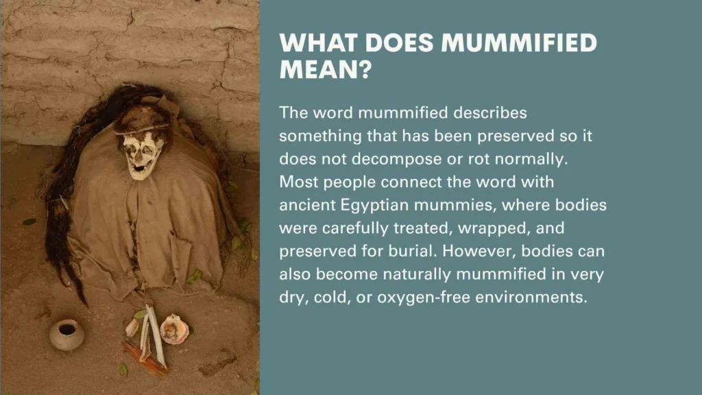 What Does Mummified Mean?