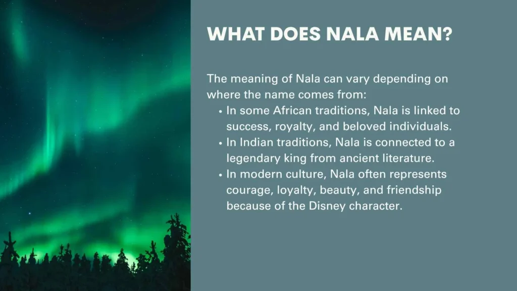 What Does Nala Mean?