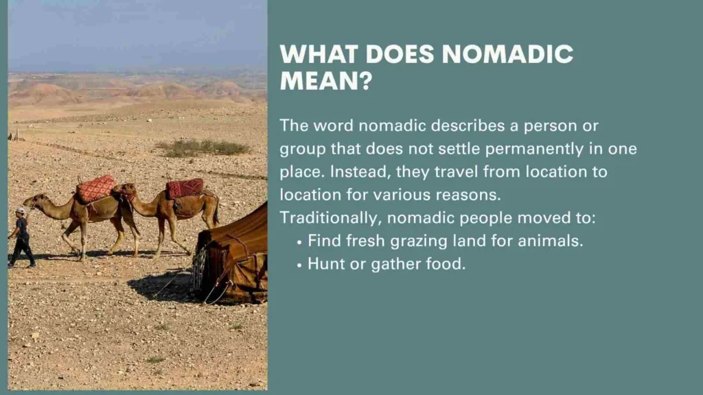What Does Nomadic Mean?