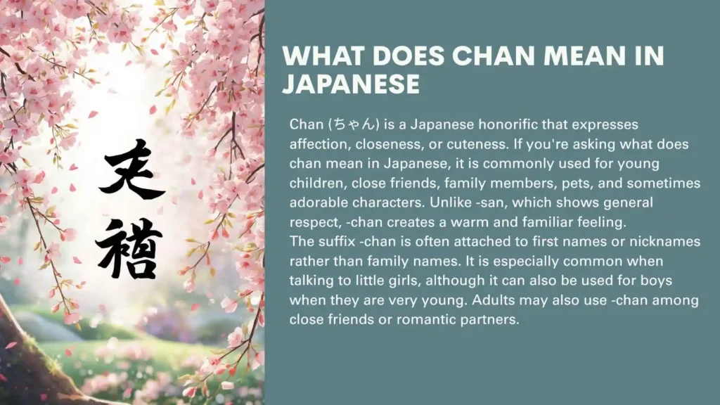 What Does Chan Mean in Japanese