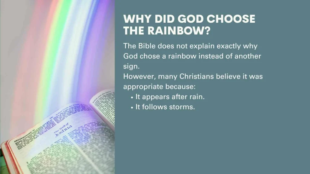 Why Did God Choose the Rainbow?