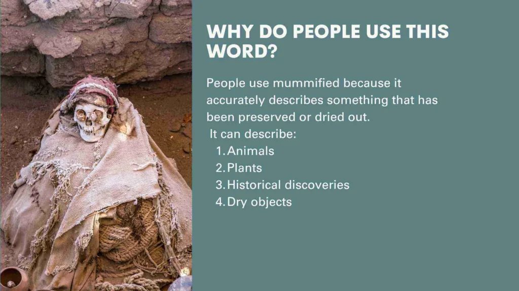 Why Do People Use This Word?