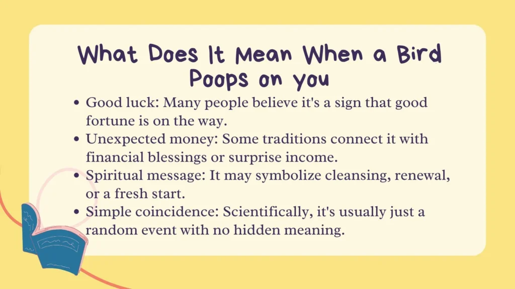What Does It Mean When a Bird Poops on You? 