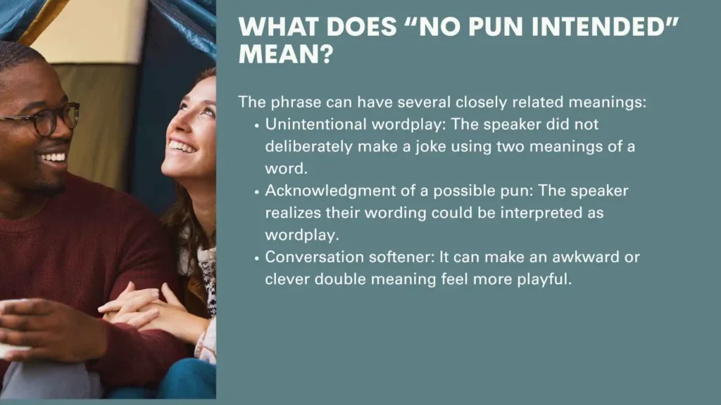 What Does “No Pun Intended” Mean?